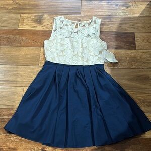 Elegant Navy and Cream Dress